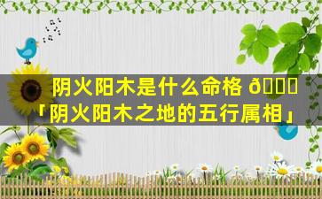 阴火阳木是什么命格 🐝 「阴火阳木之地的五行属相」